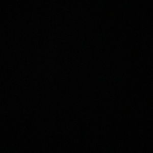 Meet your Posher, Genevieve